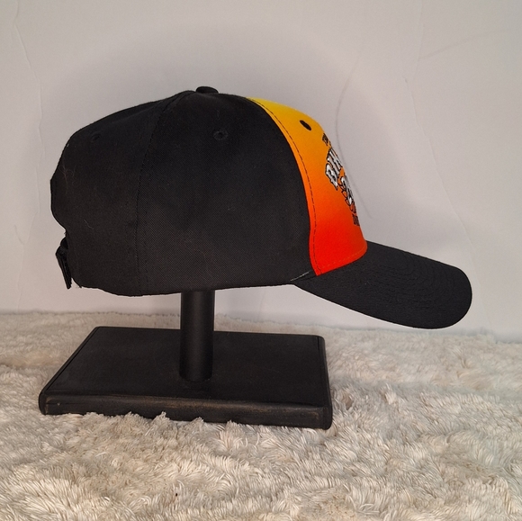 Pro's Choice Inc. Hat (NWOT) - Picture 3 of 9